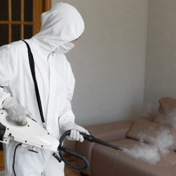 1-Time Pest Control