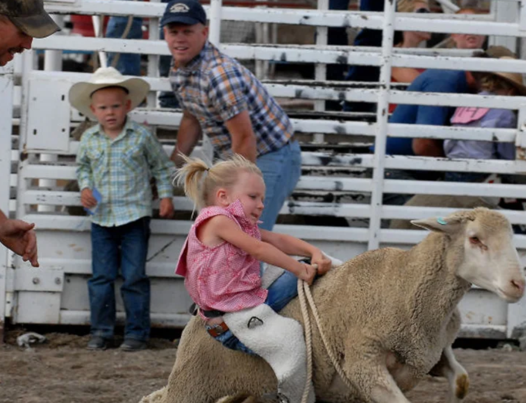 Youth Rodeo