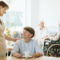 Senior Service/Nursing Home