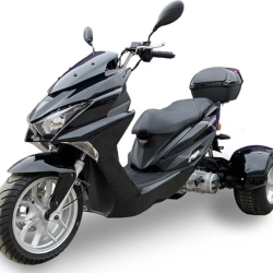 Maddogs/Trikes