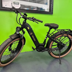 Electric Bikes and Scooters
