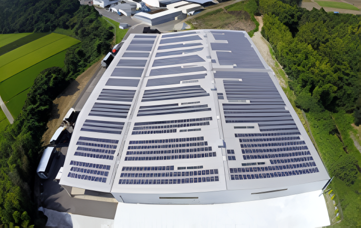 Environmental Activities