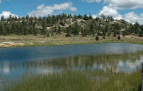 Properties: Ponderosa Ranch