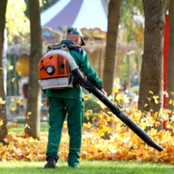 Yard Work