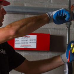 Service & Inspection