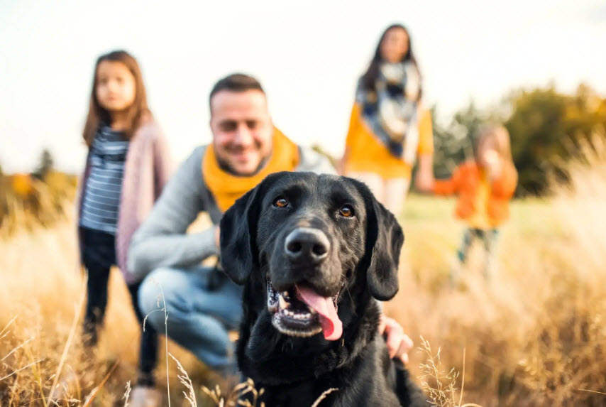 Life Insurance