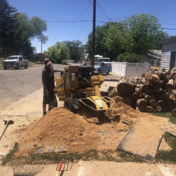 Stump Grinding