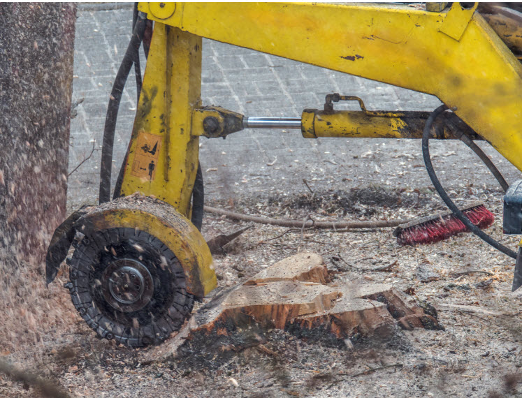 Stump Grinding