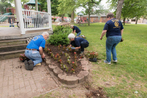 Victory Park - Flower Planting