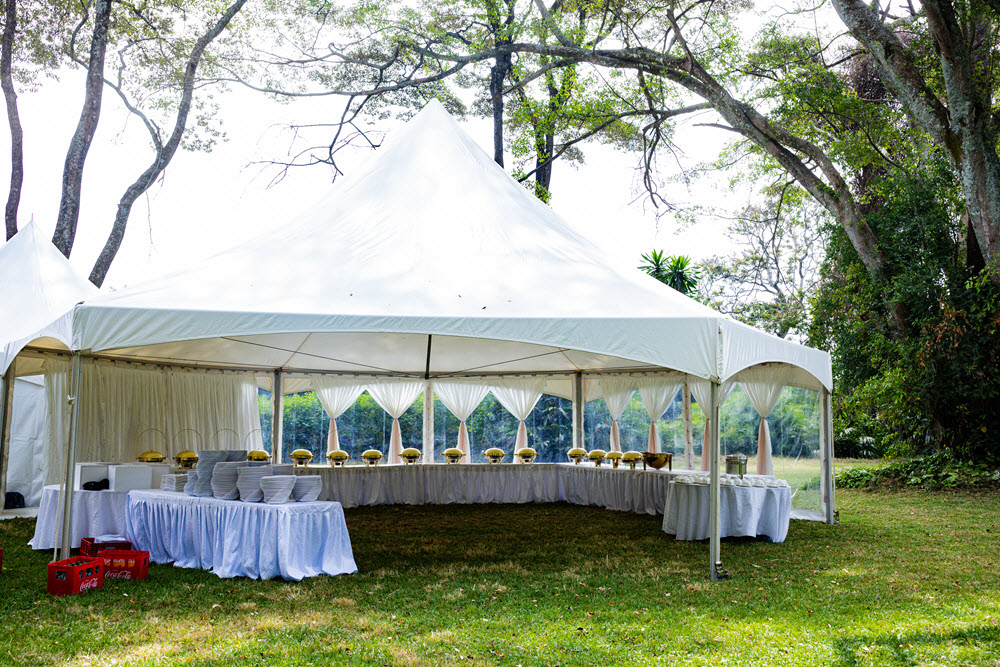 Canopy