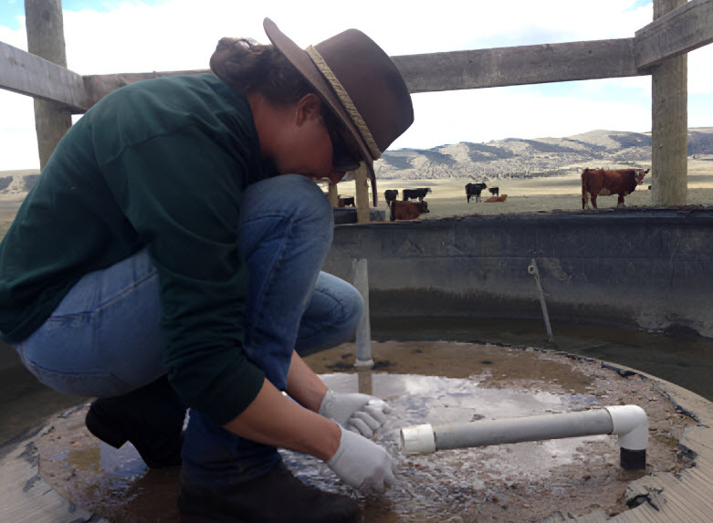 Water Quality Monitoring