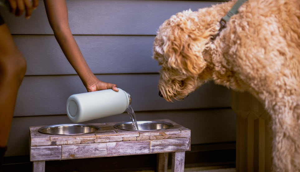 Whole Home Water Filters