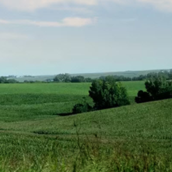 Land Loans