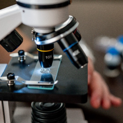 Batten Disease Research and Advocacy