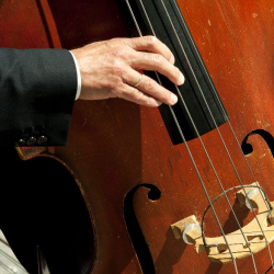 Classical String Bass Lessons