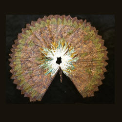 4 Seasons Cape