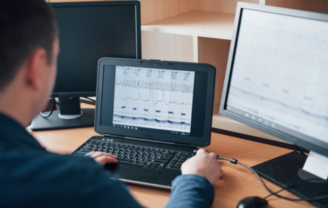 Software Development Services