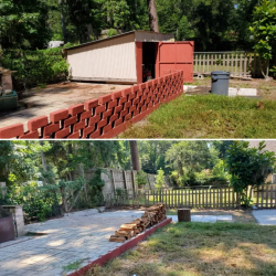 Property Cleanout
