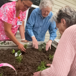 Independent Living
