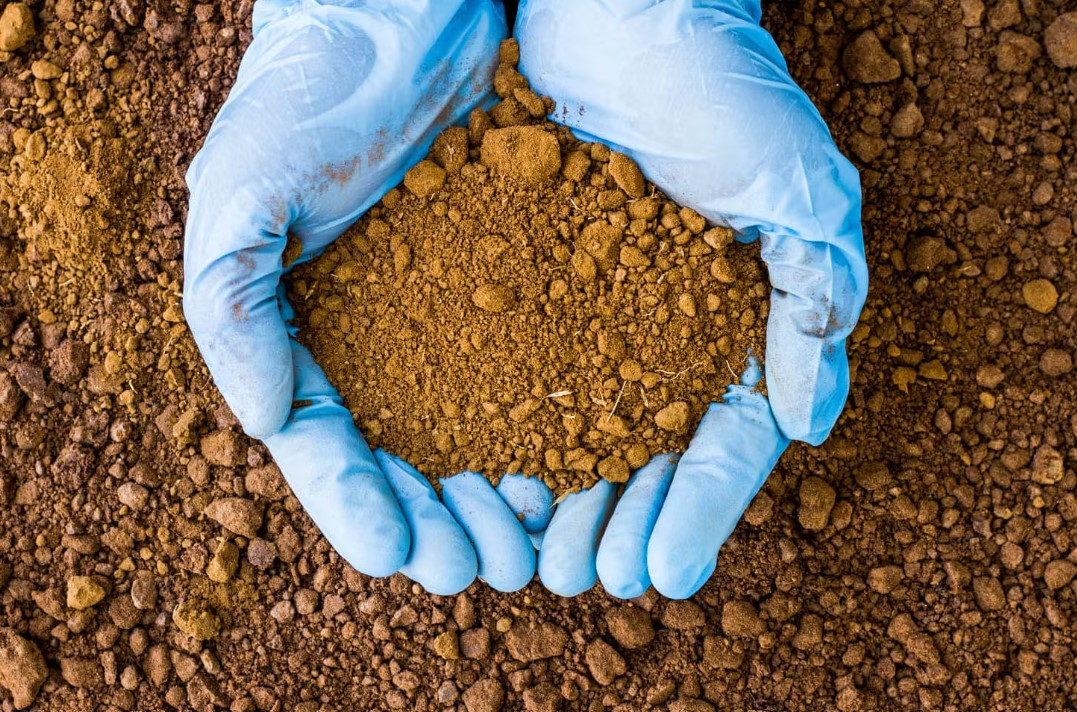 Now Offering Soil Testing