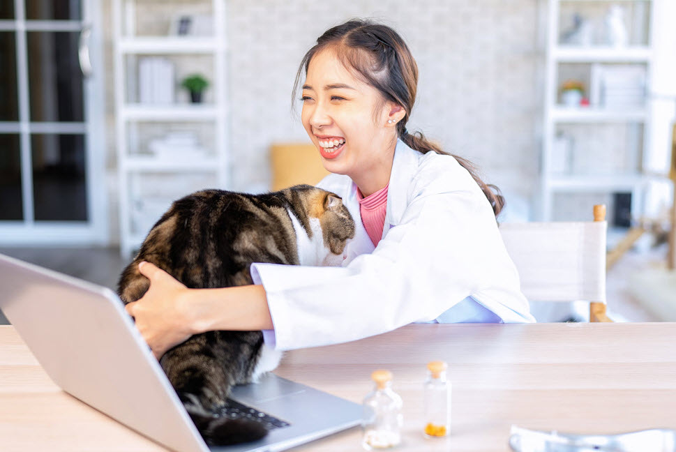 Virtual Pet Care