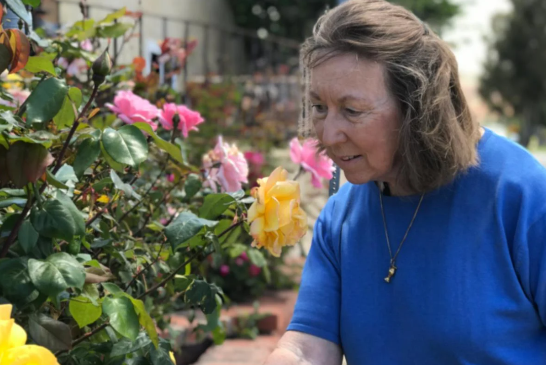 Arthritis Care For Seniors