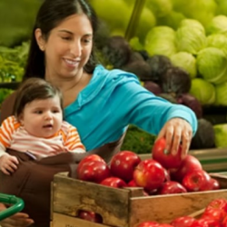 Nutrition Services