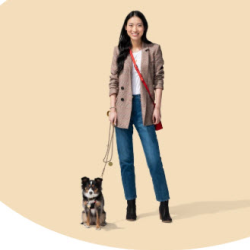 Pet Insurance