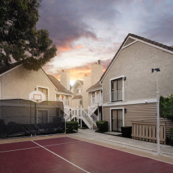 Sports Court