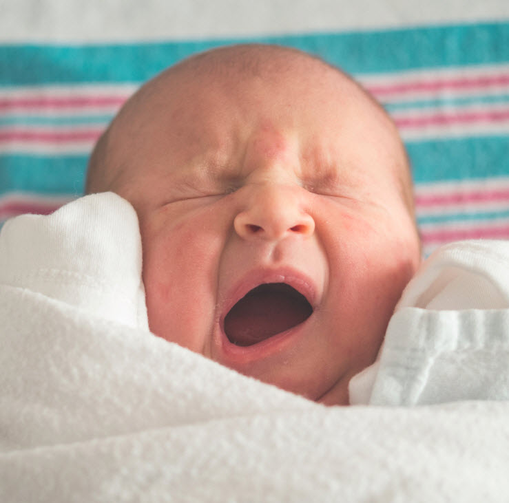 Newborn