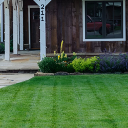 Lawn Care
