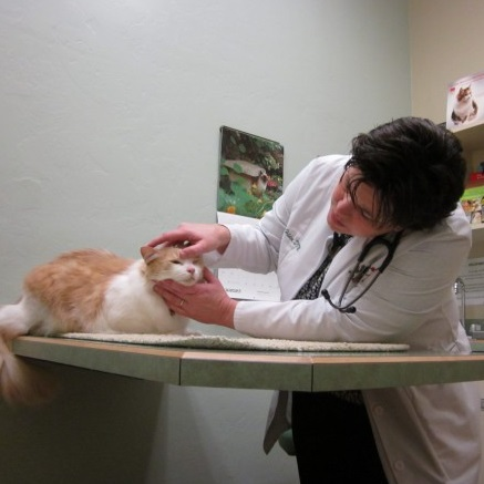 Allergies & Dermatology