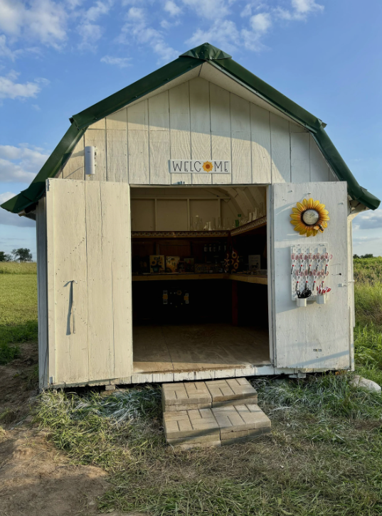 She Shed Shop