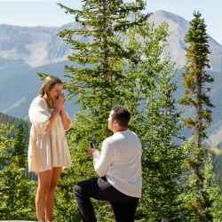 Proposals