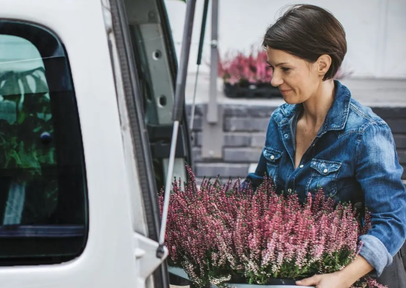 Commercial Umbrella Insurance