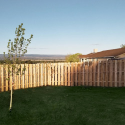 Fencing