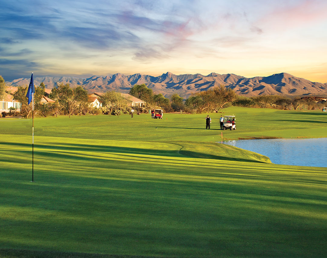  Linking up with Golf