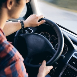 Auto Insurance