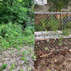 Yard Cleaning