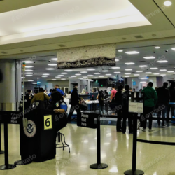 Homeland Security
