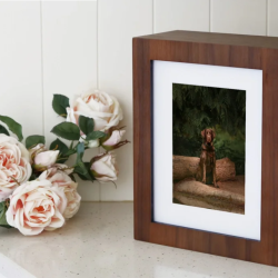 Storytelling Portrait Boxes