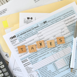 Individual and Business Taxes