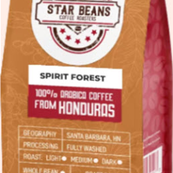 Spirit Forest