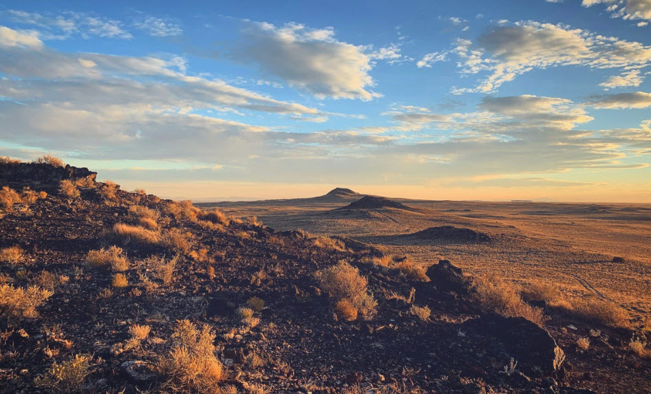 Efficient Order Fulfillment and Distribution Services