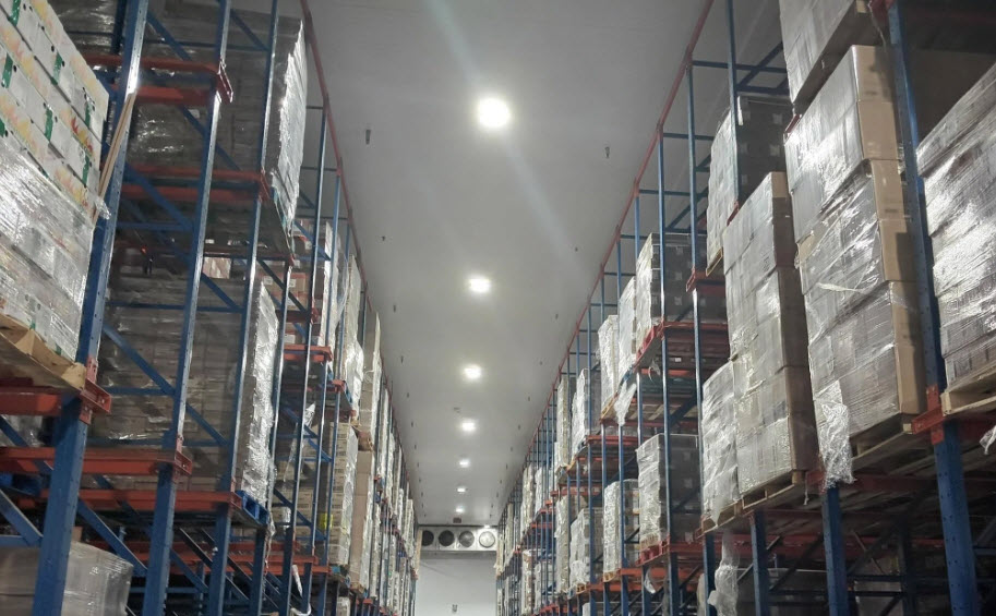 Frozen Storage