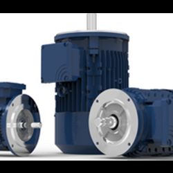 Induction Asynchronous Motor | IE3