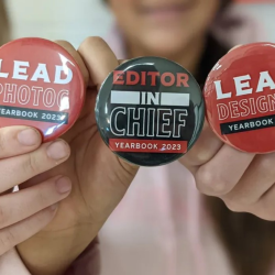 Groups/ Organizations