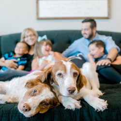 Families