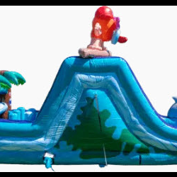Obstacle Courses