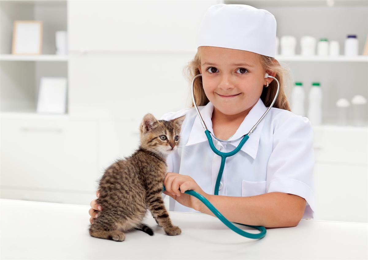Careers in Veterinary Medicine